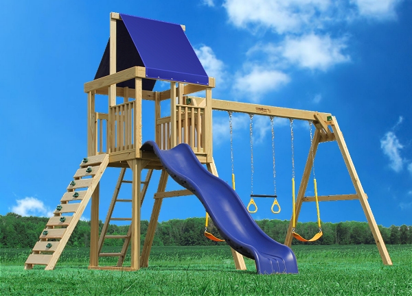 Observer Swing Set